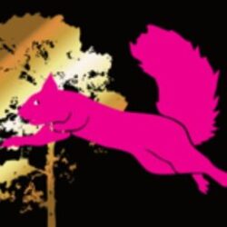 Flying Squirrel